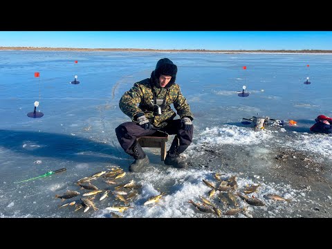 Видео: Қармақпен қысқы балық аулау 2023!!! Зимняя рыбалка в Казахстане #балықаулау #рыбалка #казахстан