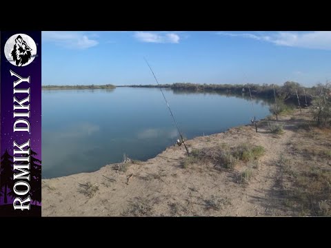Видео: Рыбалка на реке Или. Первый летний выезд 2022. Амур, сазан.