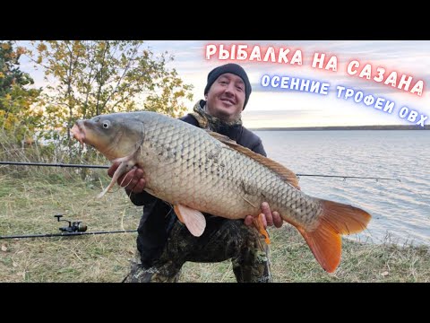 Видео: БЕШЕНЫЕ ПОКЛЁВКИ ДИКОГО САЗАНА РАЗРЫВАЛИ МЕНЯ ОТ АДРЕНАЛИНА.ТАКОЙ РЫБАЛКИ У МЕНЯ ЕЩЁ НЕ БЫЛО...