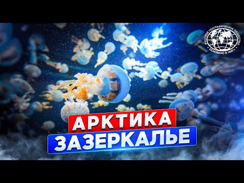 Видео: Арктика. Зазеркалье  | @rgo_films