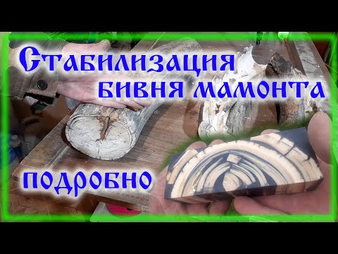 Видео: Бивень мамонта Стабилизация Испытание силиконовых форм