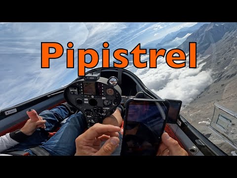 Видео: Что может Taurus Pipistrel? Гадкий утенок, или планер с необычными возможностями