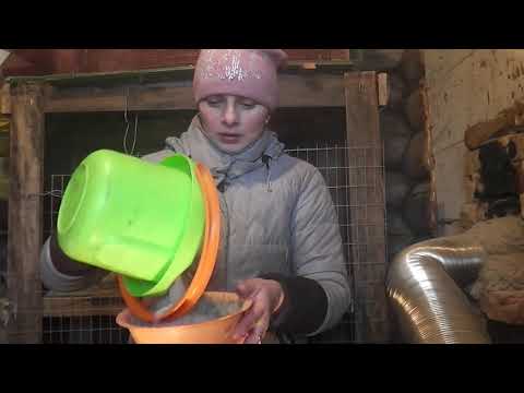 Видео: Утро в деревне. Все как есть. 58 серия