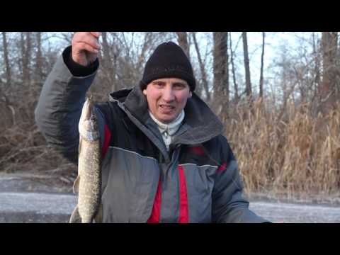 Видео: Малые реки Черноземья. Сезон 2. По первому льду. Ноябрь 2014
