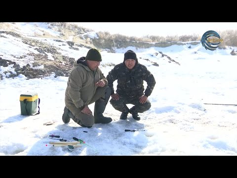 Видео: ОЛЖА / ЛЕПСІ - ТАБАН БАЛЫҚ / 06.03.2022