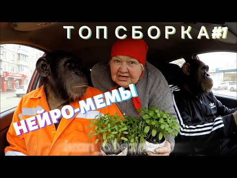 Видео: НЕЙРО МЕМЫ#1 сборник всех серий Братье Обезьяновых