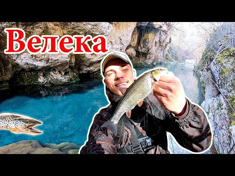 Видео: РИБОЛОВ на КЕФАЛ НА РЕКА ВЕЛЕКА. БОНУС ПЪСТЪРВА
