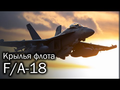 Видео: F/A-18 Hornet - шершень для авианосца