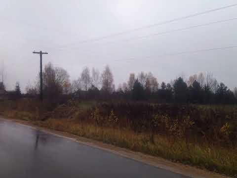 Видео: 29 октября 2025 г.