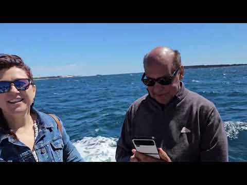 Видео: MSC Seaview 2 день Канны/часть 1