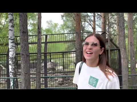 Видео: Роев ручей 🦒 Парк флоры и фауны 🦎 Красноярск ❗️ Часть 2