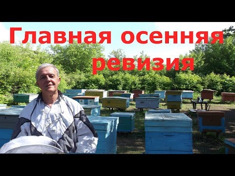 Видео: Главная осенняя ревизия пчелиных семей. И откачали мед.