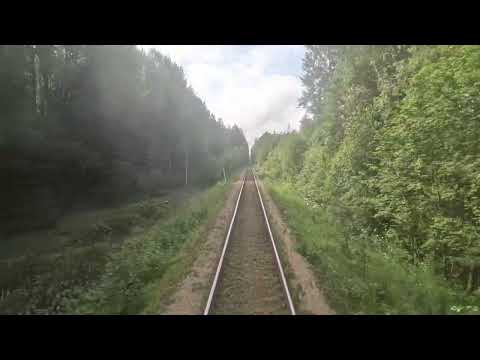 Видео: Сухобезводное - Лапшанга (июль 2022)