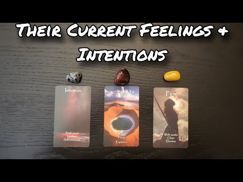 Видео: 💕🦢 Их текущие чувства и намерения ♥️💞 Выберите карту для любовного гадания