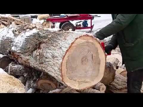 Видео: Тестирование бензопилы #Surui GS460 на предприятии по #заготовке дров