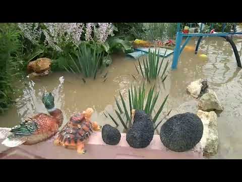 Видео: 28 июня 2022 г.