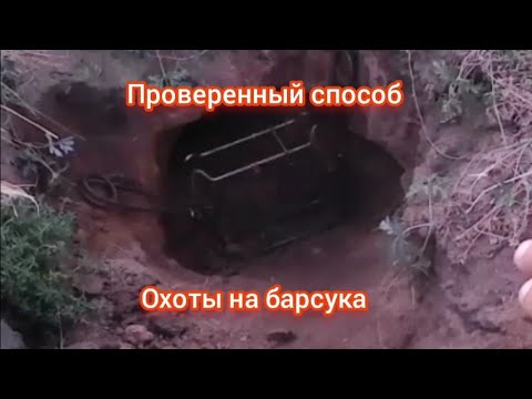 Видео: охота на барсука от в норе... 2,5 часа просидел возле норы!!!  установка кп 250 в нору...