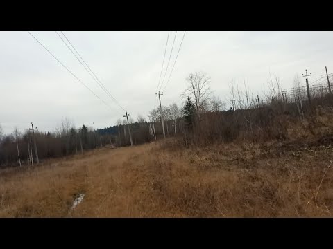 Видео: Нашел много корейцев!! 