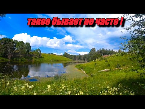 Видео: ПЕРВЫЙ СИГНАЛ, ПЕРВАЯ НАХОДКА И СРАЗУ НА ПРИЁМКУ, ТАКОЕ СЛУЧАЕТСЯ НЕ ЧАСТО! КОП МЕТАЛЛА ЛЕТО 2023
