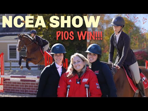 Видео: Влог о конной выставке колледжа NCEA!!!