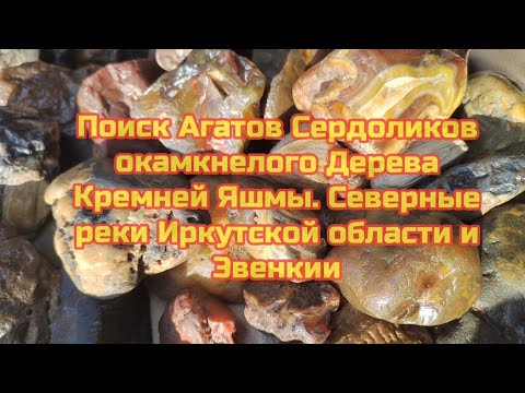 Видео: Поиск  Агатов Сердоликов окаменелого  Дерева Кремней Яшмы. Северные реки Иркутской области и Эвенкии