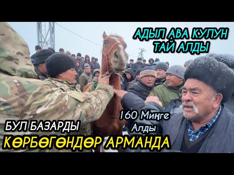 Видео: Кызыктуу Болгон Ноокат Жылкы Базары / 03_03_2024