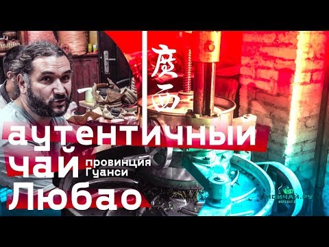 Видео: Аутентичный чай Любао. Провинция Гуанси.