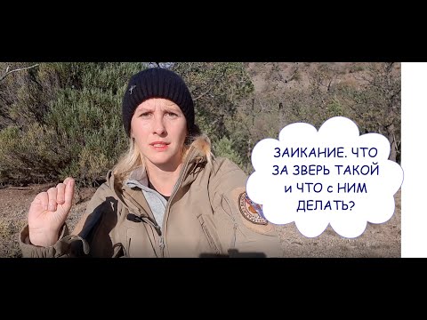 Видео: ЛЕЧЕНИЕ ЗАИКАНИЯ. Почему так сложно и специалисты бессильны. Чего нам не хватает...рассуждаю