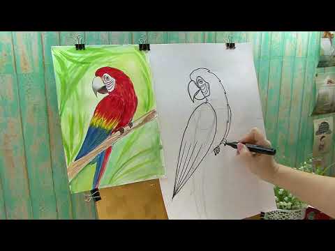 Видео: Попугай Ара акварель.