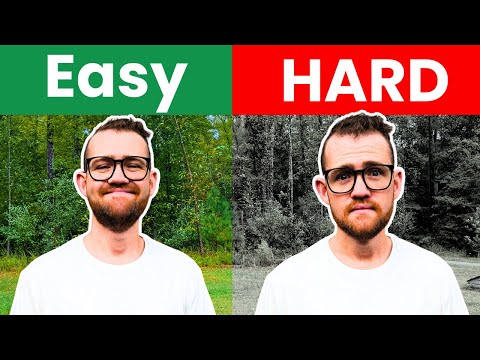 Видео: ЛУЧШИЙ СКОТОВЫЙ ДОМАШНИЙ ДЛЯ НАЧИНАЮЩИХ