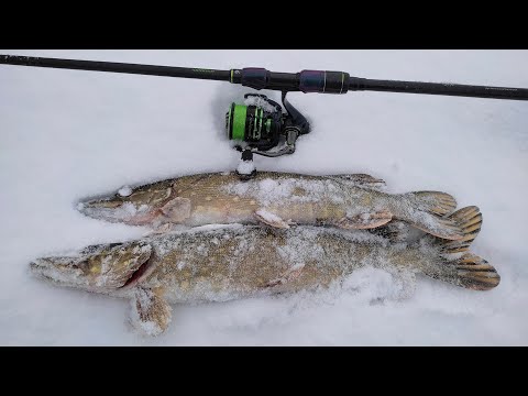 Видео: ЩУКА клюет на ДЖИГ между льдин на спиннинг с берега