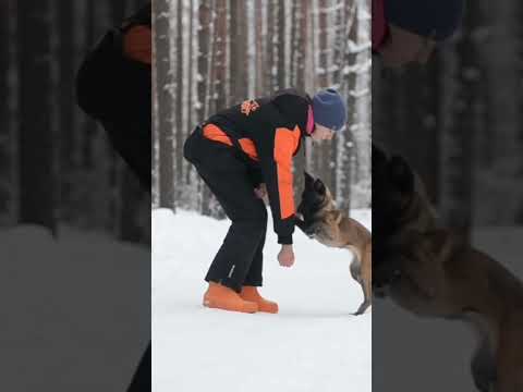 Видео: 4 февраля 2024 г.