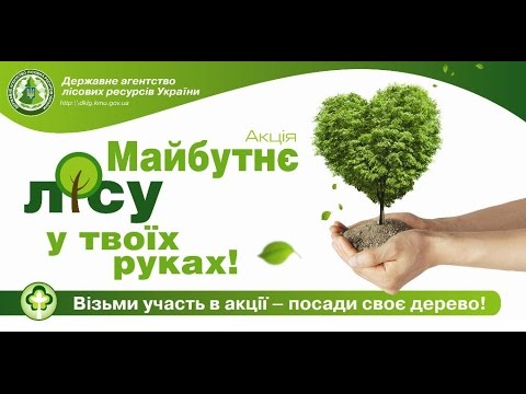 Видео: посадка лісу в околицях с Заріччя та Білі Ослави