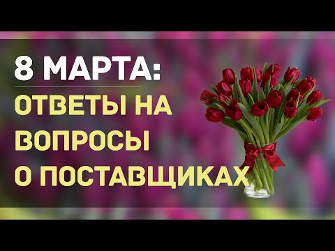 Видео: ОТВЕЧАЮ НА ВОПРОСЫ. ПРОДАЖИ НА 8 МАРТА. О ЛУКОВИЦЕ. О ПОСТАВЩИКАХ. КАК УВЕЛИЧИТЬ БОКАЛ ТЮЛЬПАНА