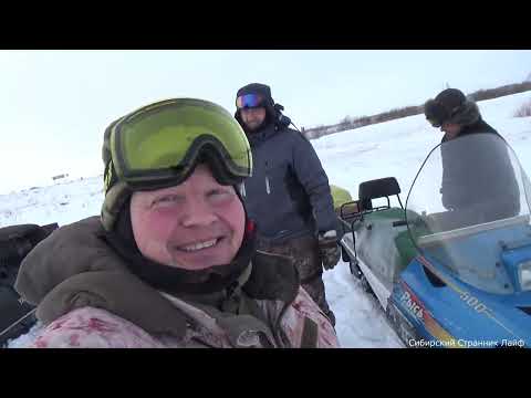 Видео: Подкормка косули сибирской зимой.