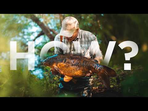 Видео: Неожиданная реальность ловли БОЛЬШОГО карпа..
