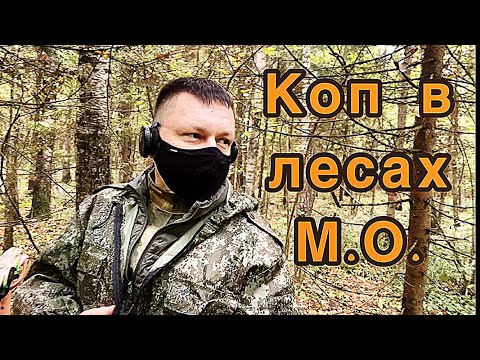 Видео: Коп в лесах Московской области.
