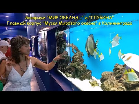 Видео: Аквариум "МИР ОКЕАНА..." и "ГЛУБИНА". Главный корпус "Музея Мирового океана". Калининград, ДЕНЬ 2.