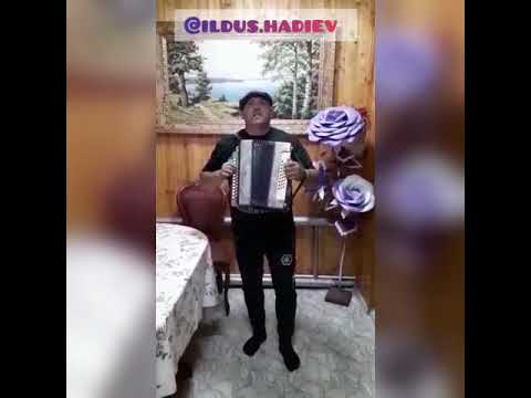Видео: "Алтын алка".Илдус Хадиев.Гармунда татарча жырлар.