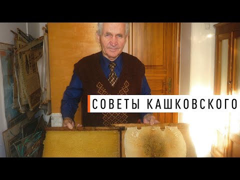 Видео: Советы Кашковского