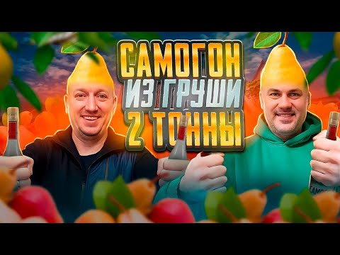 Видео: Самогон из груши. Грушевый шнапс + Мини розыгрыш Самозванцы ТИМ