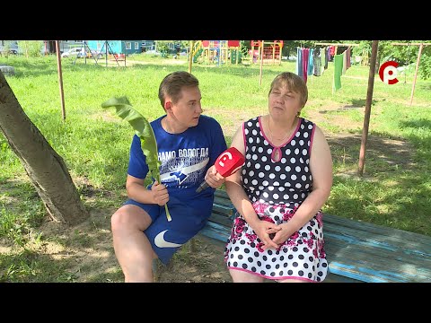 Видео: Что вижу, то пою. Выпуск №140 / Можайское