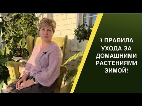 Видео: ОСНОВНЫЕ ПРАВИЛА УХОДА ЗА КОМНАТНЫМИ РАСТЕНИЯМИ!