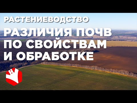 Видео: Различия почв | Как обрабатывать почву? | Технологии растениеводства