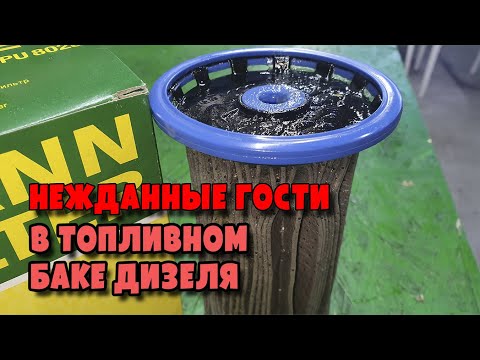Видео: Слизь, микробы в дизельном топливе