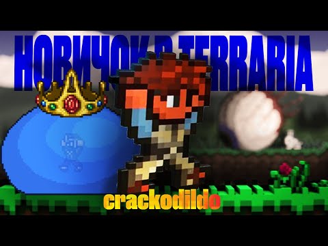 Видео: terraria c новичком