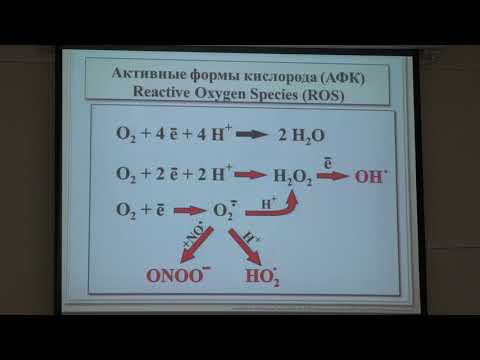 Видео: Черняк Б. В. - Структура и функция митохондрий - 10. Митохондрии и врождённый иммунитет