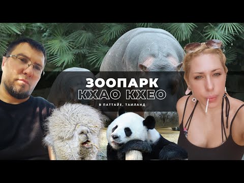 Видео: Зоопарк Кхао Кхео Паттайя, цена на билеты и стоит ли покупать экскурсию в этот зоопарк?