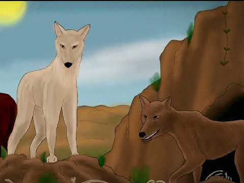 Видео: События в Omega Vanitas #omegavanitas