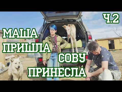 Видео: Мария Маркина - укротитель бешеных страусов